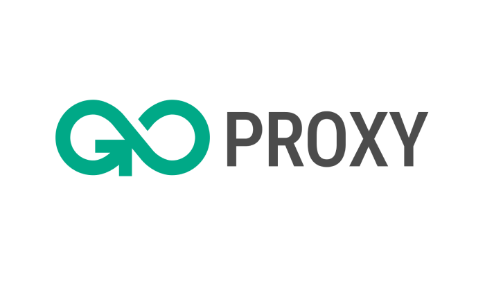 One month datacenter proxy access